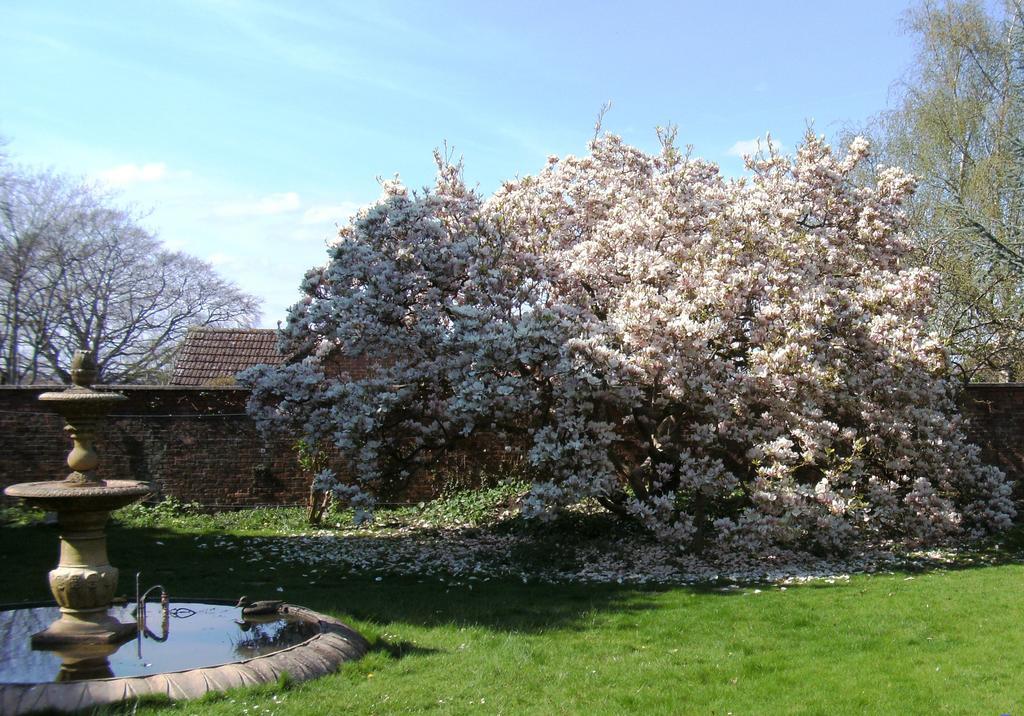 Hilbury Court Hotel Trowbridge Esterno foto